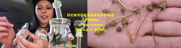 трава Арсеньев